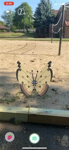 Pokémon GO - Best Buddy |Vivillon (Sandstorm)
