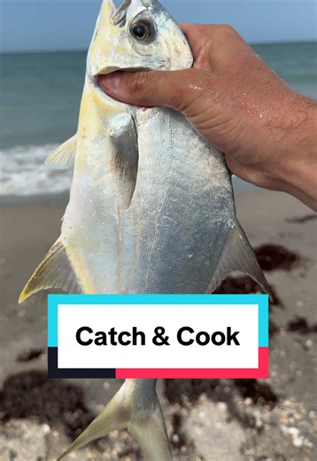 Let’s catch a fish dinner #fishing #fishtok #catchandcook #florida #floridafishing