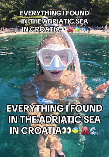 Exploring Octopuses in the Adriatic Sea of Croatia