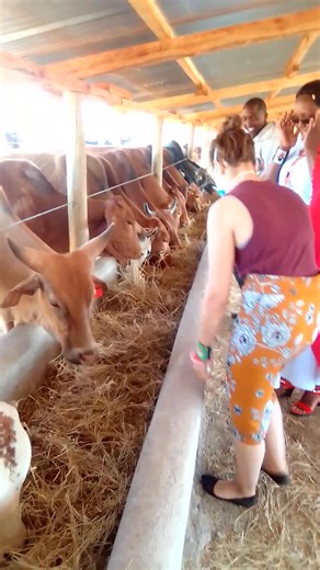 179K views · 3.1K reactions | What types of feeds are used in a...