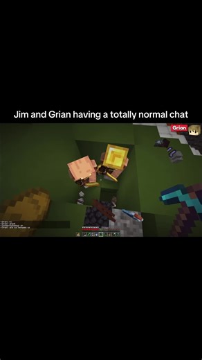 Exploring Solidarity in Minecraft: Jim and Grian's Chat