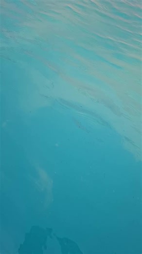 بادي مشظوف (@badie.talbe)’s videos with Originalton - Issam 🌹🌹