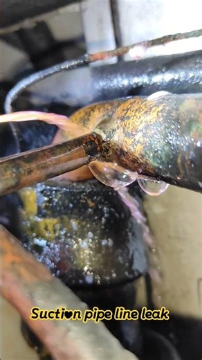 carrier Reefer Container Suction pipe line leak #reefer #carrier