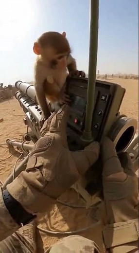 5 Surprising Facts About Rocket Launchers That Every Army Lover Should Know