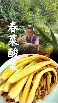 Spring cabbage sauerkraut #shorts