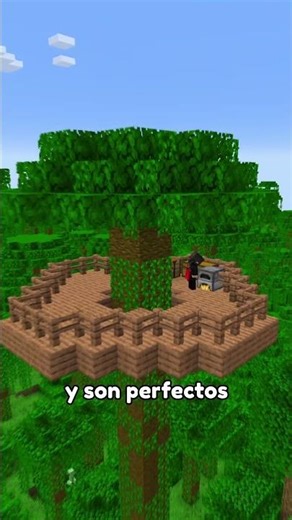 Hacks de construcción para Minecraft 20! 🤫