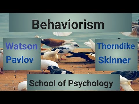Behaviorism School of Psychology | Behaviorists Theory