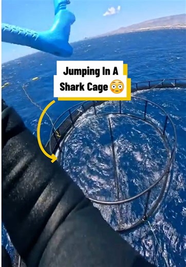 Kite Surfing in a Shark Cage Adventure