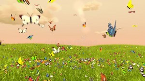 Spring Butterfly stock video. Video of spring, 1920x1080 - 39600931