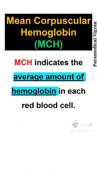 Understanding Complete Blood Count (CBC) | Medical Education