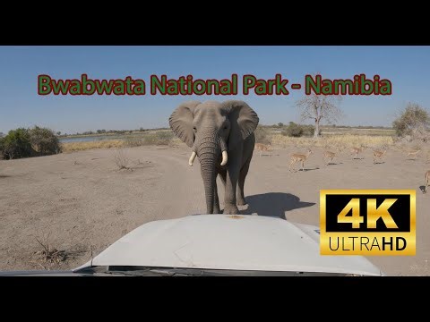 Bwabwata National Park - Caprivi Strip - Namibia 4K