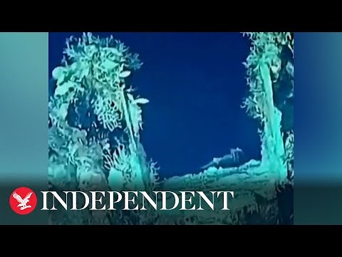 Footage shows 1708 shipwreck of San José thought to hold $20bn of treasure