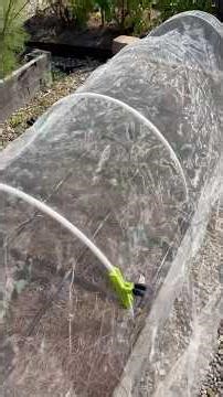 Easy, Effective, and Organic Pest Control Method for Home Gardens #gardentips #pestcontrol