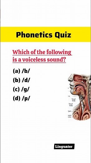 Difference between voiced and voiceless sounds in phonetics - Phonetics Quiz - Linguistics MCQS