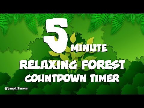 5 min relaxing forest countdown timer with background forest sounds for study, classroom, fitness
