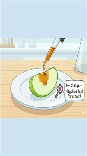 Iodine Test for Starch in 40 Seconds | Potato & Rice vs Milk & Apple | Science Experiment |