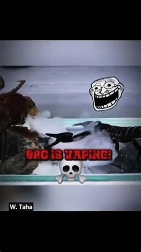 crab VS scorpion :the ultimate showdown