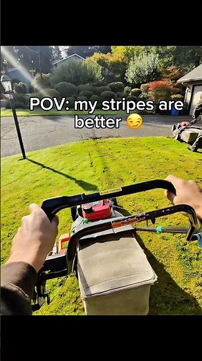 POV: Push mower lawn stripes 👈 Stand On Mower #lawncare #pov #landscaping #entrepreneur