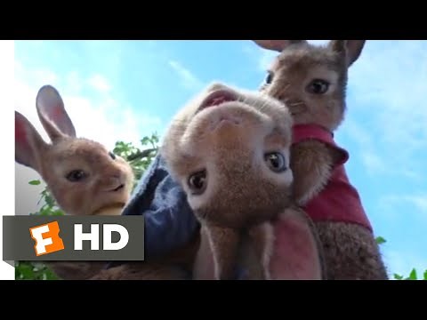 Peter Rabbit (2018) - House Party Scene (2/10) | Movieclips