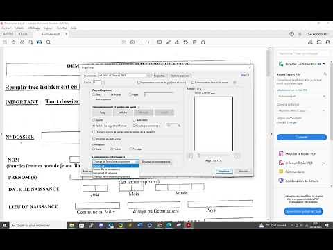 Problem printing a PDF - blank page solved