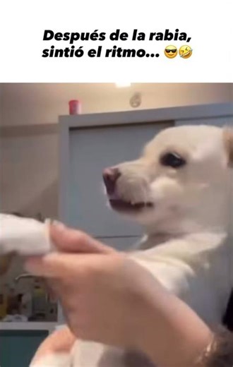 SINTIÓ EL RITMO
