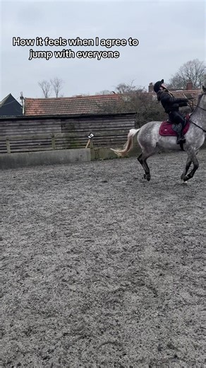 Struggling with Show Jumping: A Personal Insight