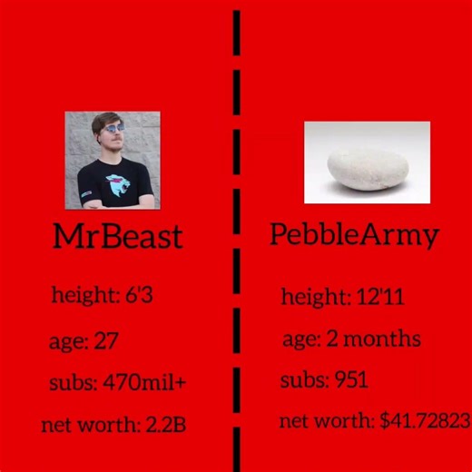 can we do it? #pebble #shorts