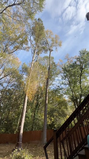  Tree Service project in  Lawrenceville, GA . Call us for a free estimate ☎️(678) 457-3487 ☎️(678) 677-9102 . . . #trees #treeremoval #treework #arborist | Jireh Tree Services & Landscaping | Facebook