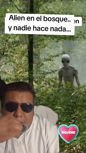 Alien perdído.. on toy.. #alien #aliens #aliensarereal #grises #grises #ovni#ovnisvideos #terror#terrorsobrenatural #terror #sobr#sobrenatural | Curiosidades VIRAL EGH