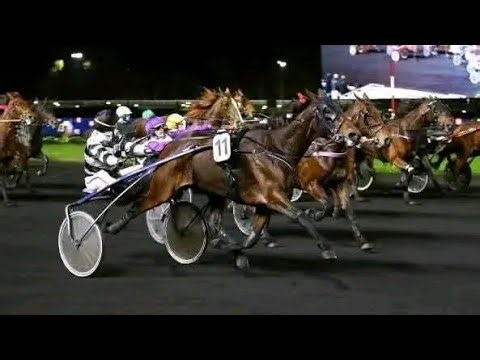 23/03/2026~#programme La course de lundi à midi 👍💯👍💯👍💯👍💯👍💯👍💯👍💯