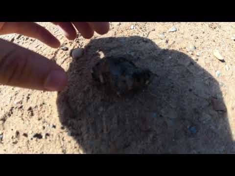 Watchman Trail Hike | Zion National Park