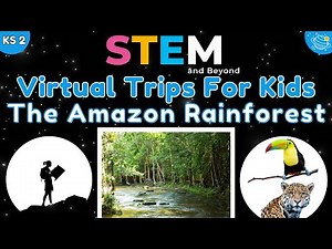 Exploring the Amazing Amazon Rainforest - Virtual Field Trip for Kids!