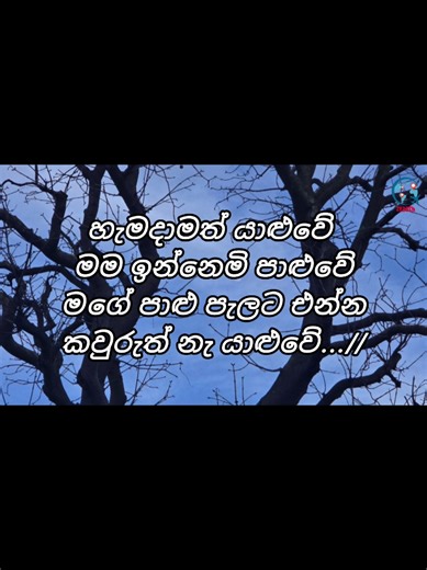 Sinhala Karaoke Songs for Club Enjoyment