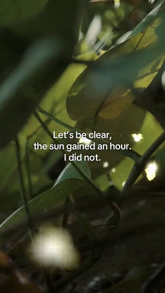 Embracing the Time Change: Daylight Savings Adjustments