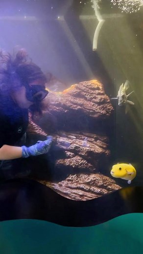 Waikiki Aquarium on TikTok