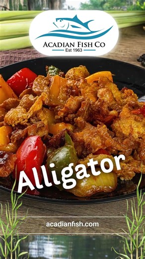 Acadian Alligator 🐊 | Bold Flavor from Acadian Fish Company