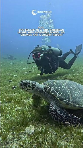 🇧🇶 Luxury Caribbean Escape to St. Eustatius 2027! 🇧🇶