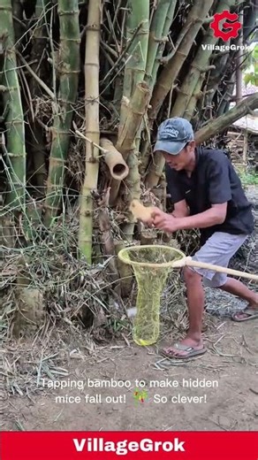 Clever Mouse Trap: Man Catches Mice from Bamboo Using a Net