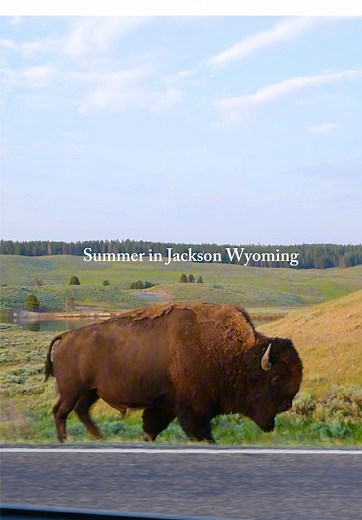 Exploring Yellowstone and Grand Teton National Parks