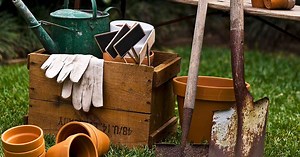 The benefits of manure and how to choose the best type for your garden