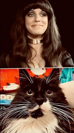 Master Gable Presents Shocking Blue's "Rock in the Sea"=^.,.^=❤️#cat #shockingblue #music #rock #70s