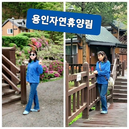 #황지의 여행생활#용인자연휴양림#Trip#느티골#가마골#밤티골#야영장#트리하우스