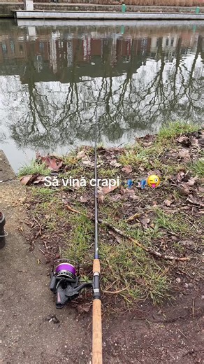 Vidéos de 🎣🇹🇩Carp_Hunter🎣🇫🇷 (@carp.fishing_riviere) avec sunet original - 🦬Kulai🦬