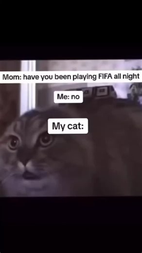 SCROLL.ADDICTTt on Instagram: "This video is a relatable comedy meme that uses a cat's behavior to jokingly "expose" someone for staying up all night playing video games. The video features a large, wide-eyed cat making rhythmic, mechanical jaw movements that perfectly sync with the iconic voice of commentator Derek Ray from the FIFA (now EA Sports FC) video game series. As the cat "speaks" the game's intro—mentioning the Signal Iduna Park and the Bundesliga—the on-screen text sets up a scenario