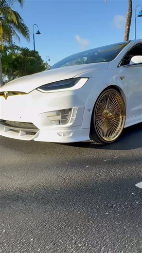 The cleanest Model X in the car game right now