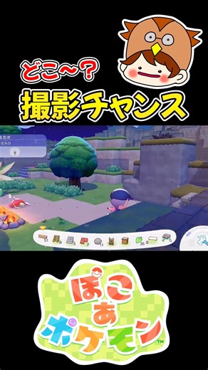 [Poco Poke] Don't miss the photo opportunity! *Spoiler alert* [Poco a Pokemon] #PocoPoke #PocoAPo...