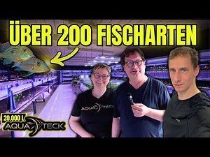 200+ fish species at Aqua Teck – you rarely see such an ornamental fish facility!