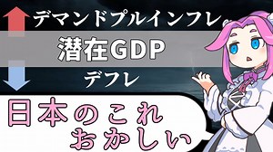 日本だけおかしいデマンドプルインフレとデフレの境界線【VOICEVOX解説】#2