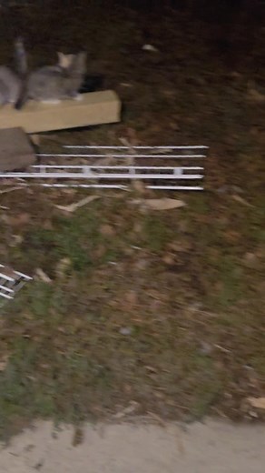 9 comments | Kevin Klein on Reels | Facebook