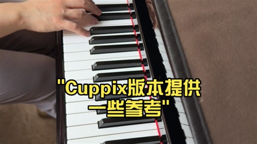 Cuppix版本提供一些参考